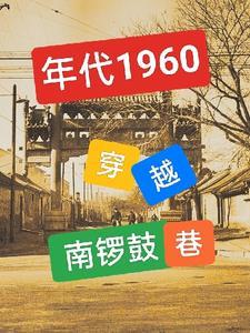 年代1960穿越南锣鼓巷TXT奇书