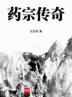 药宗怎么样