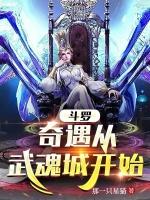 斗罗奇遇从武魂城开始(1-139)