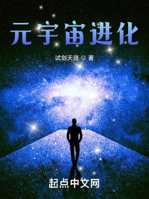 元宇宙进化 顶点