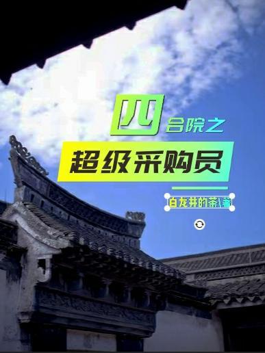 四合院采购员叫马为民的