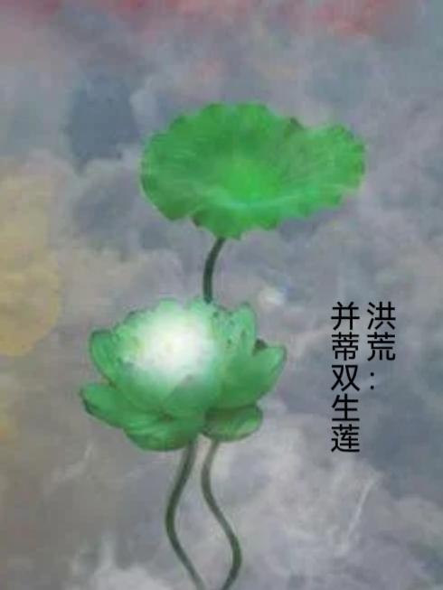 并蒂双生莲什么意思