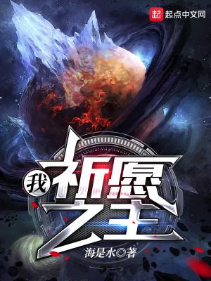 我祈愿之主无错版