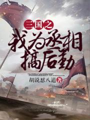 三国之我为丞相搞后勤盗版