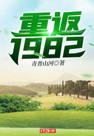 重返1982段云全文免费阅读