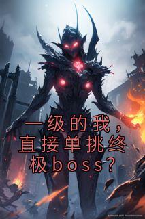 一级的我直接单挑终极boss