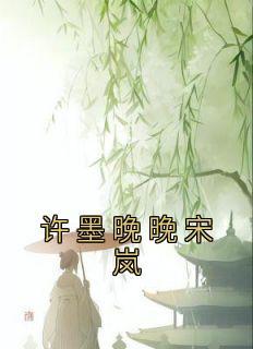 女主叫许晚晚