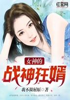 女神的战神狂婿免费阅读