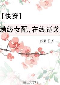 满级女炮灰又穿书了