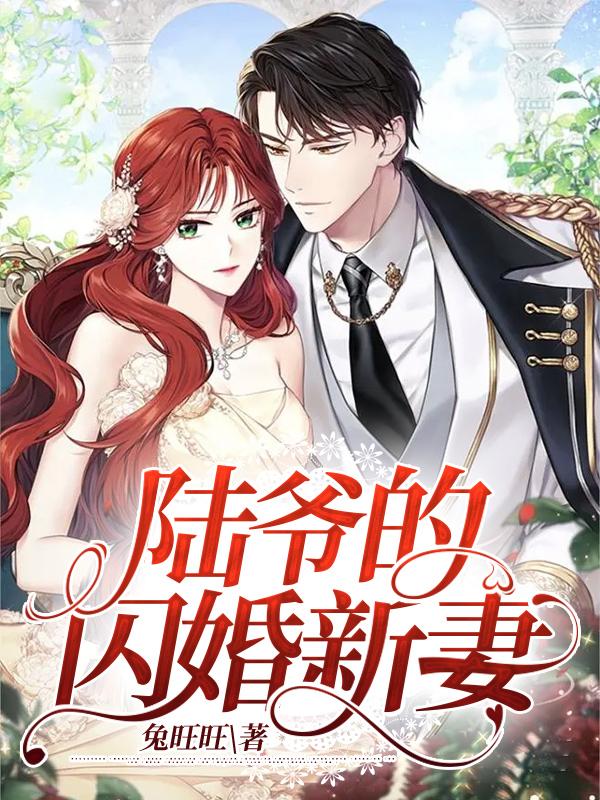 陆爷的闪婚新妻免费阅读全文