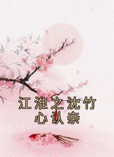 江淮时沈持盈