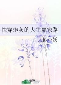 快穿炮灰的人生赢家路免费