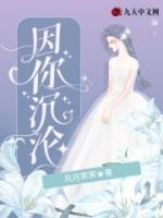 女主叫林汐