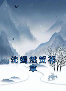 沈柔贺逸然