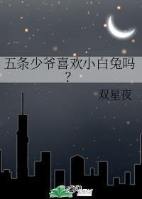 五条少爷喜欢小白兔吗?作者双星夜