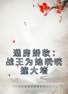 通房宠 无弹窗