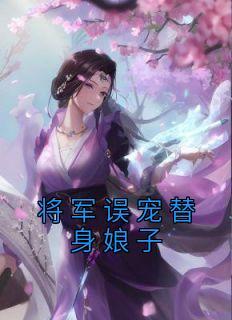 将军的替身男妃