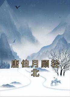 顾轻舟唐蜜