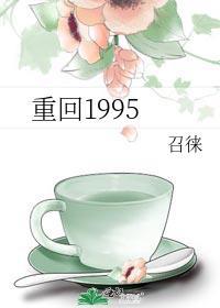 重返1995