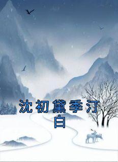 沈初黛季汀白的