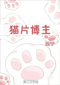 猫片公司