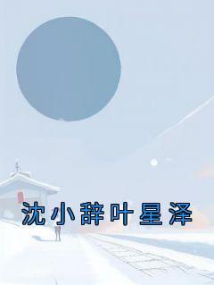 沈小辞叶星泽年代文