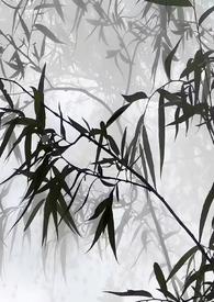 烟雨江湖杭州鱼贩打听茶