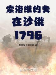 索洛维约夫在沙俄1796 笔趣阁