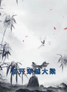 赵开穿越大梁无弹窗完结版