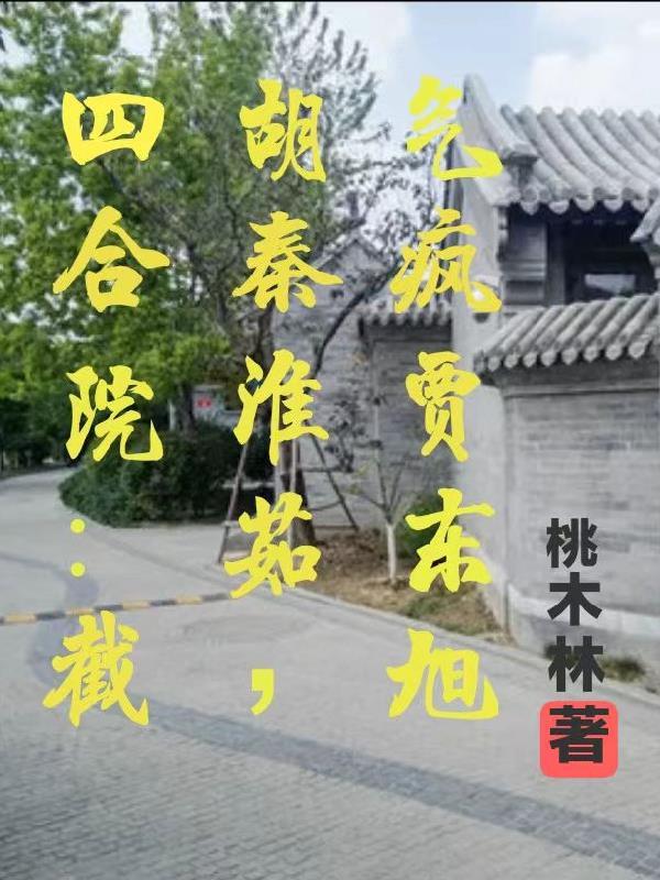 四合院娶秦京茹