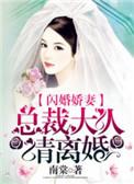 闪婚总裁大人甜甜宠