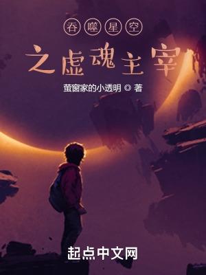 吞噬星空之虚魂主宰免费阅读全文