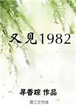 又见1982 讲的啥