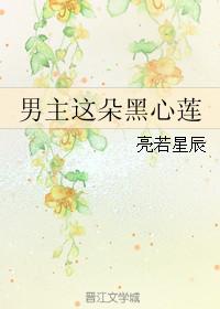 男主这朵黑心莲花在线阅读