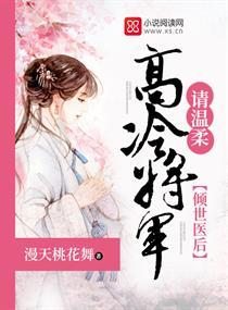 倾世女将军