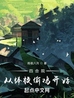 四合院从欺负棒梗开始