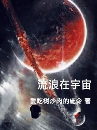 流浪宇宙指南读后感