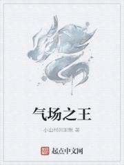 气场是什么书