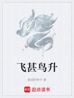 飞鸟指什么