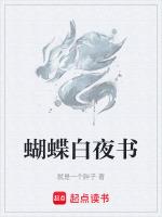 白夜破晓书