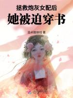 拯救炮灰女配晏殊