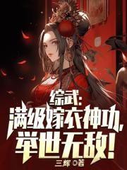 综武满级嫁衣神功举世无敌