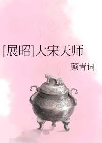 大宋天师全文