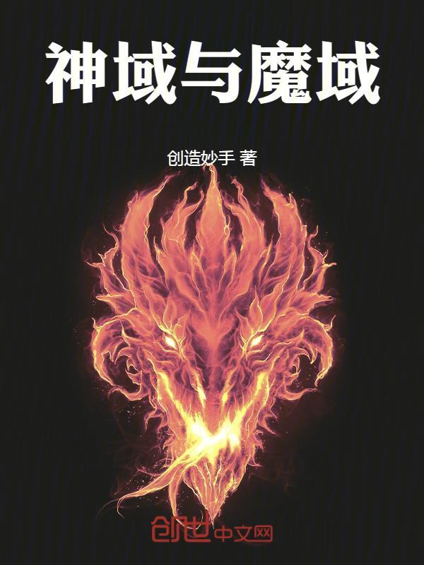 魔域打神域什么职业好