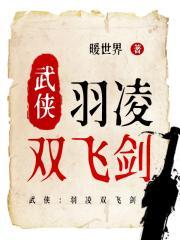 武侠飞羽令