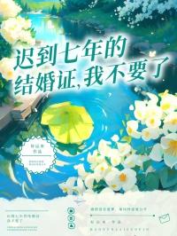 迟来的结婚证完整版