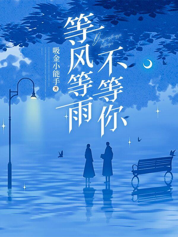 等风等雨不等你歌曲