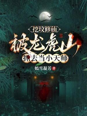 龙虎山天师墓被盗