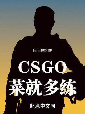 CSGO菜就多练 hold载物