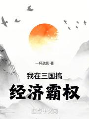 我在三国搞经济霸权画凌烟 著